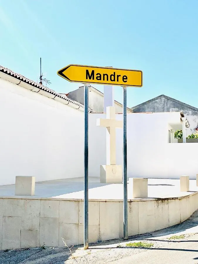 Villa Infinity Mandre Holiday home